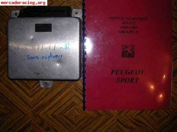 Vendo centralita competicion 205/309 gti