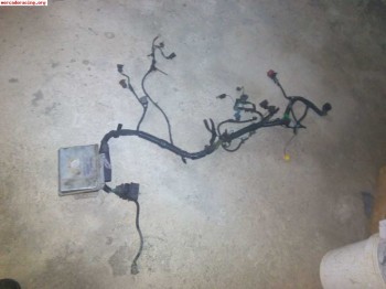 Instalacion de motor saxo 1.6 8v y centralita