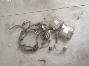 Instalacion saxo 16v   centralita