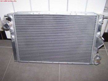 Radiador de agua clio maxi
