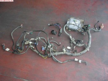 Se vende instalacion saxo 16v fase 1 