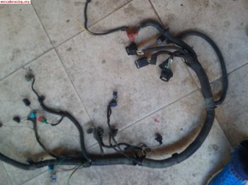 Instalación saxo 8v fase 2 100cv