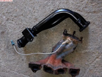 Bitubo gordo de la copa saxo 16v