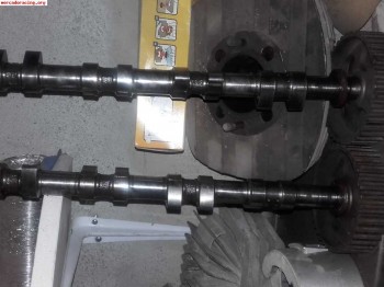 árboles de levas clio 16v
