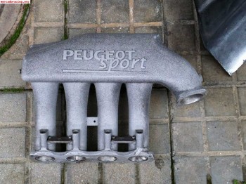 Admision y campana de admision peugeot 206 s1600