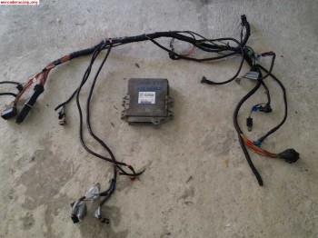 Instalacion y centralita motor citroen saxo 16v