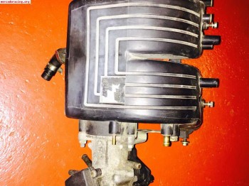 Admision zx volcane con mariposa