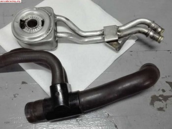 Enfriador de aceite saxo con manguito