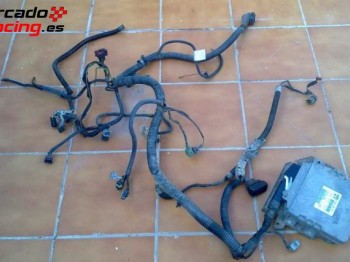 Instalacion magnetti marelly 106 gti saxo 16 un pin