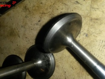 Valvulas titanio saxo 16v