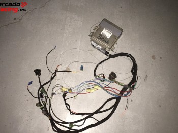 Instalacion simplificada saxo 16v