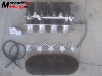 Admision 4 papillones jenvey clio sport