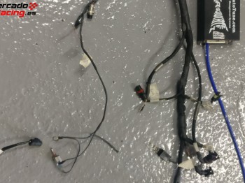 Electronica programable megasquirt clio 2 completa