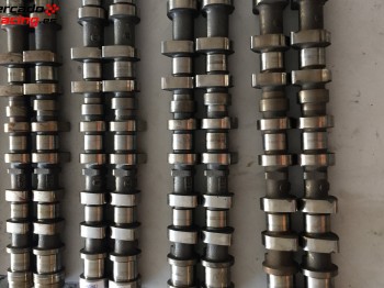 Busco árboles para 206 xs