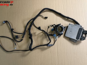 Electrónica 206 desafio frances con mariposa 60