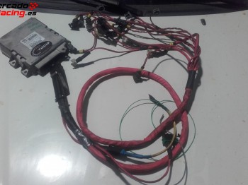 Urge!! centralita motor rfs 306 gti / xsara vts