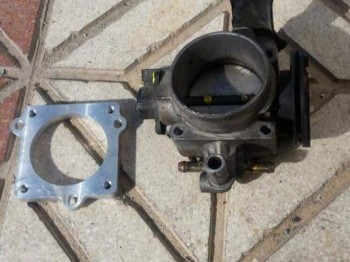 Mariposa de clio sport