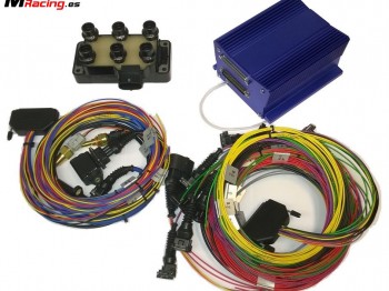 Megasquirt ms2 v3.0 con cableado, sensores y bobina 6 cilind