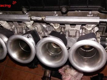 Admision papillon jenvey