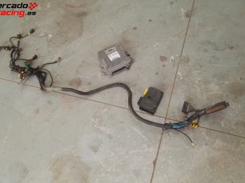 Instalación simplificada y centralita 206 gti
