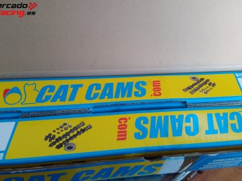 Kit árboles levas clio sport