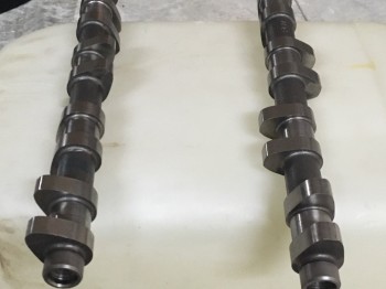 Se venden arboles de c2 r2 max