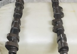 Se venden arboles c2 r2 max