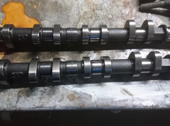 Arboles de levas cat man para motores tu 1.6 16 v 