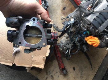 Mariposa saxo 16v  106 gti