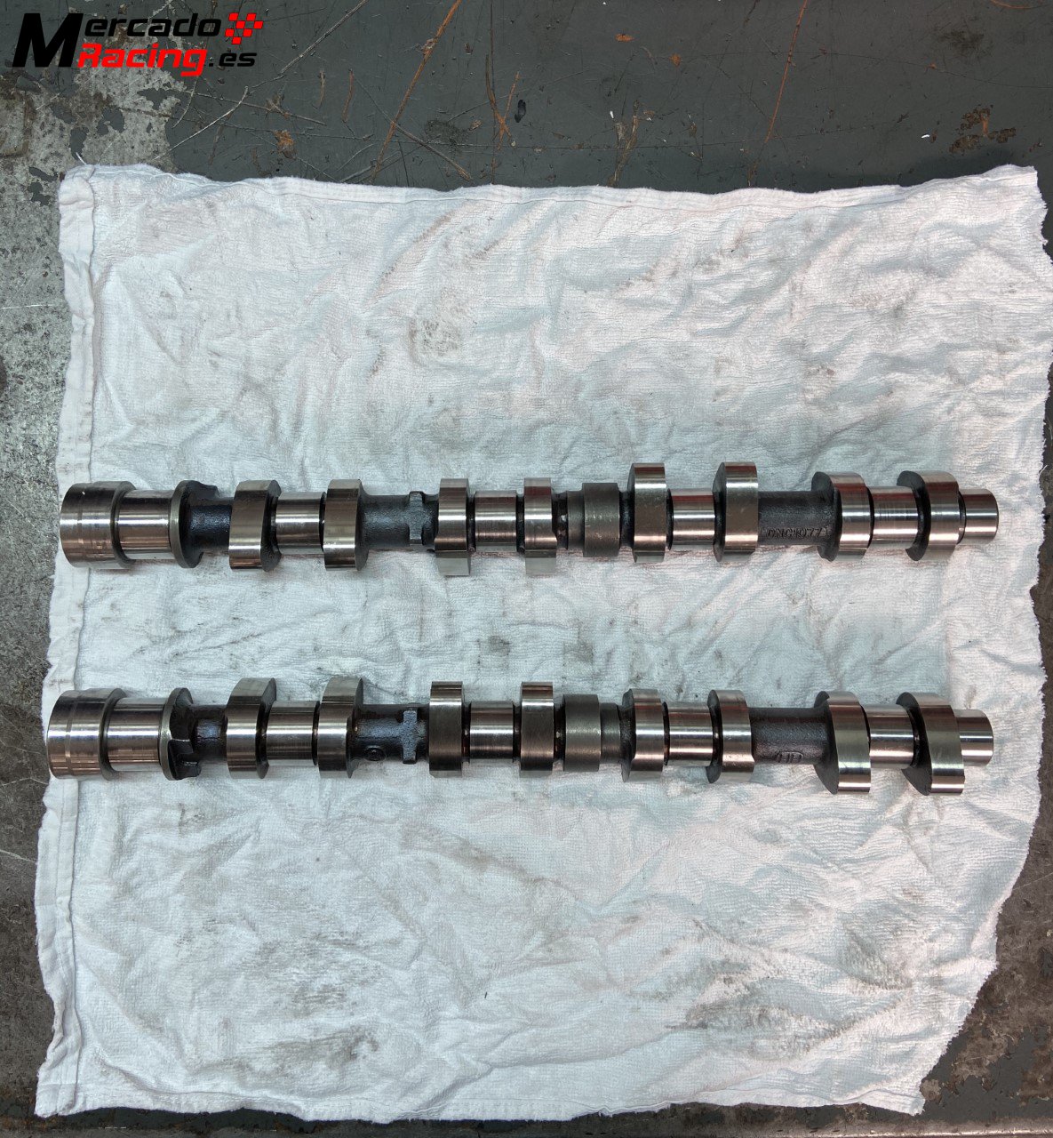 Newman Cams PH3 PSA TU5JP4