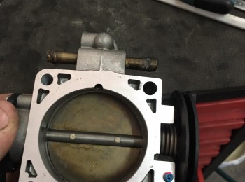 Mariposa renault 60mm