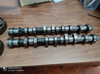 Poleas y árboles de levas de saxo 16v