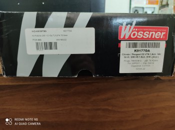 Pistones wosnner saxo c2 206 106 tujp4