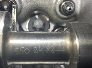 árboles grupo a clío sport 