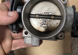 Mariposa clío sport