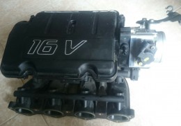 Mariposa clío & adap c2 