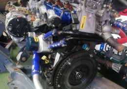 Admision papillon f7r