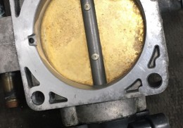 Mariposa clio por cable 