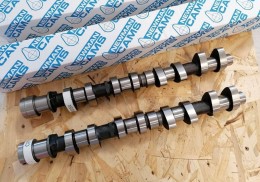 Arboles newman ph3 nfu