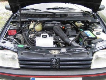 Vendo motor rectificado + caja 205 gti/130 cv