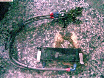 Radiador de aceite , clio, megan ....