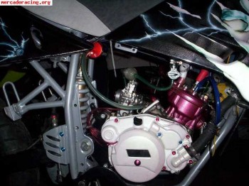 Se vende rieju spike rj aerografiada