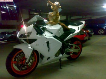 Cambio o vendo xsara hdi vts y cbr600rr