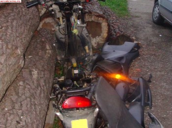 Despiece de speedfight 