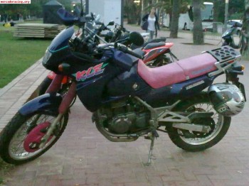 Kawasaki kle