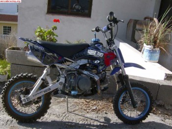 Pit bike 125cc