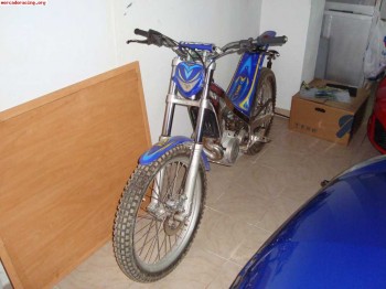 Sherco 2.9 trial 