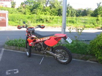 Gas gas 250 