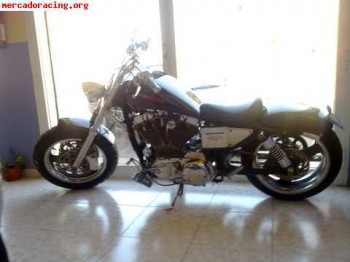 Harley 1200cc