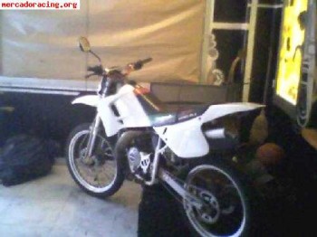 Rieju rr castrol año 2000